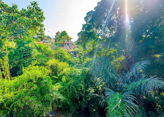 Bali Ubud Harmony