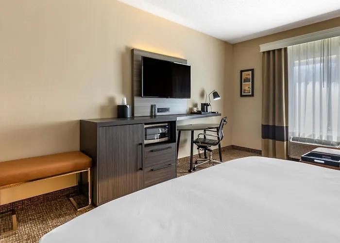 Comfort Inn & Suites North Dallas-Addison