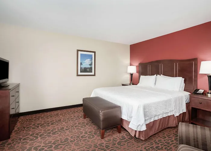 Hampton Inn And Suites Denver/South-Ridgegate