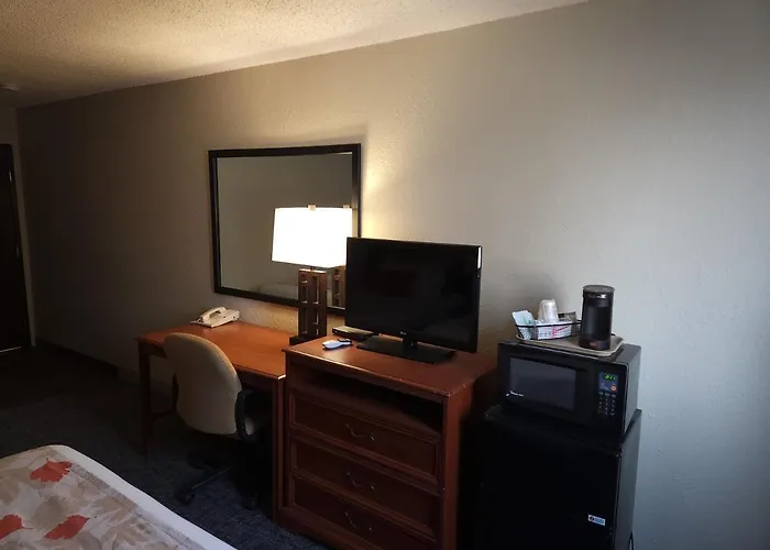 Bison Plains Lodge