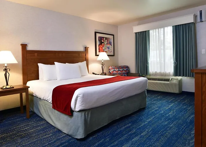 Lamplighter Inn & Suites At Sdsu