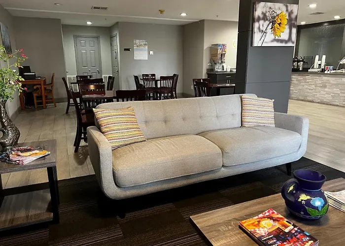 Super 8 By Wyndham Sealy
