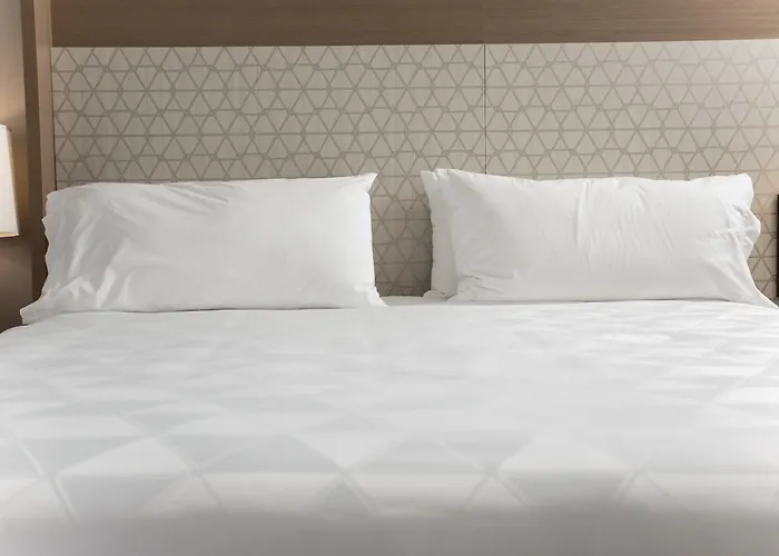 Holiday Inn Grand Rapids Downtown By Ihg