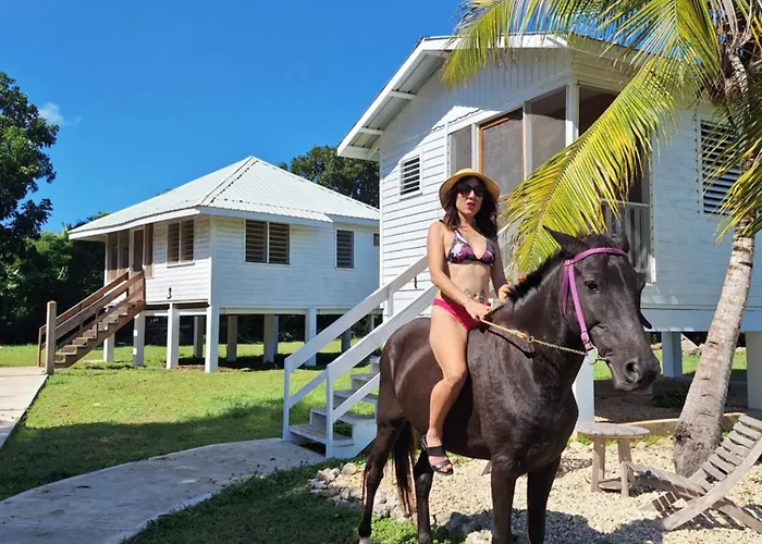 Horse Cottage
