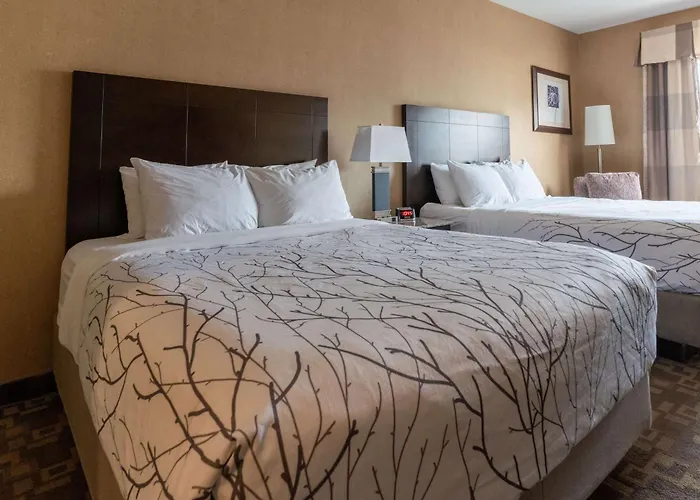Best Western Plus South Edmonton Inn & Suites
