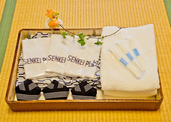 Senkei Plaza