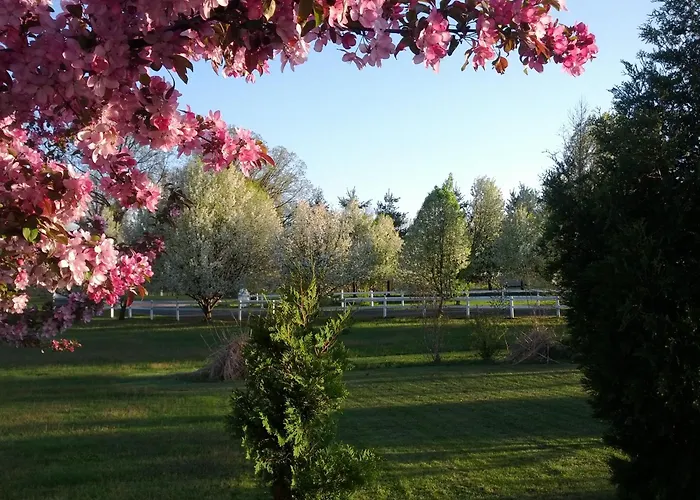 Brook Pointe Resort