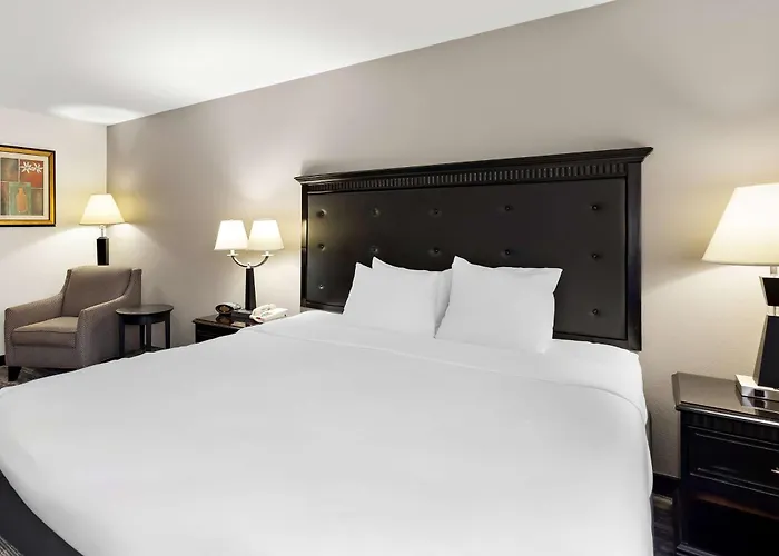 Best Western Saluki Inn