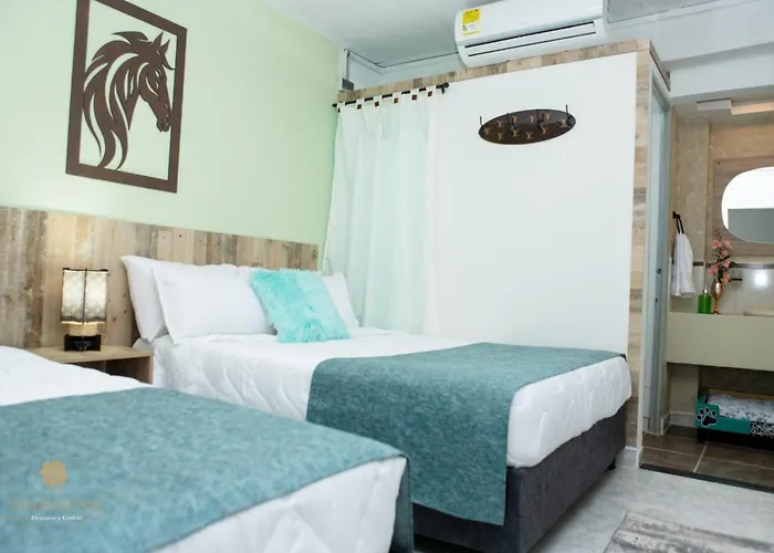 Arissha Boutique Hotel