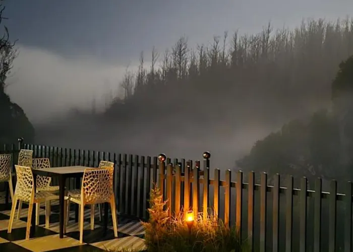 Rr Forest View