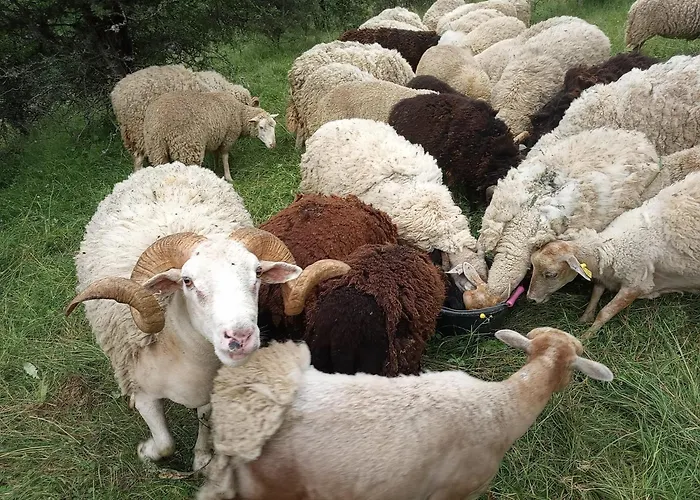 La Ferme Des Cevennes