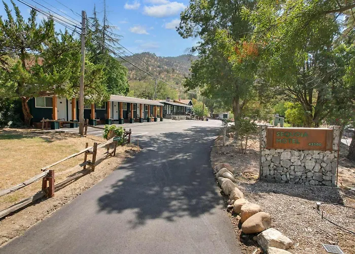 The Congress Sequoia Motel Rm6