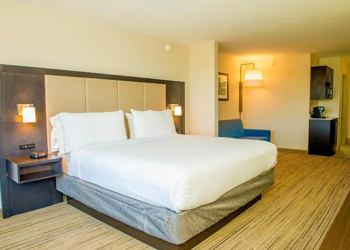 Holiday Inn Express & Suites St. Petersburg North