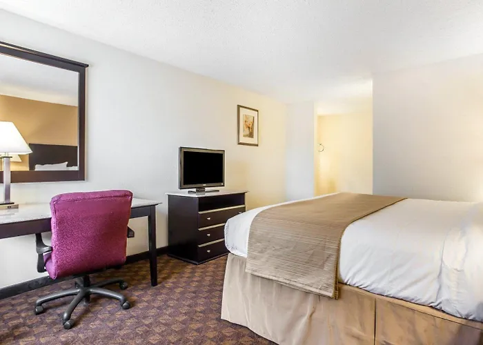 Quality Inn & Suites Coliseum