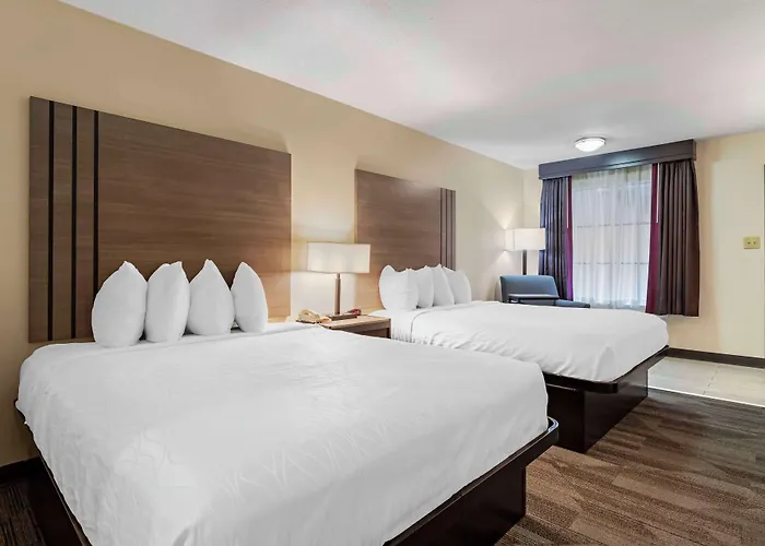 Best Western Of Alexandria Inn & Suites & Conference Center