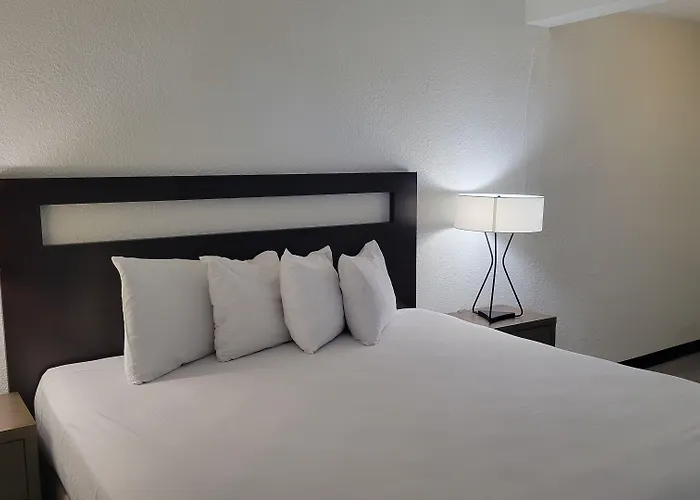 Vivo Flex Living Torrance