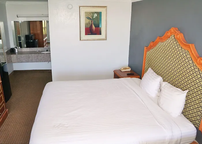 Hotel Elev8