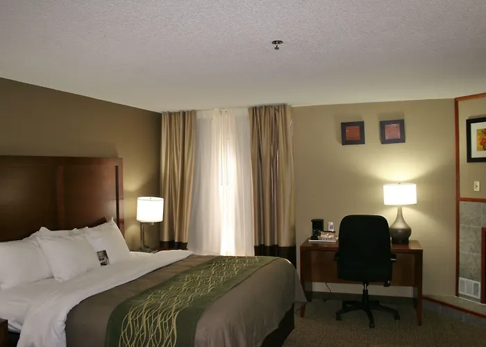 Comfort Inn Bristol