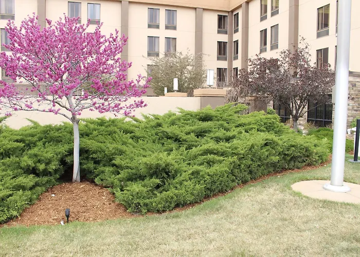 Best Western Plus Wichita West Airport Inn