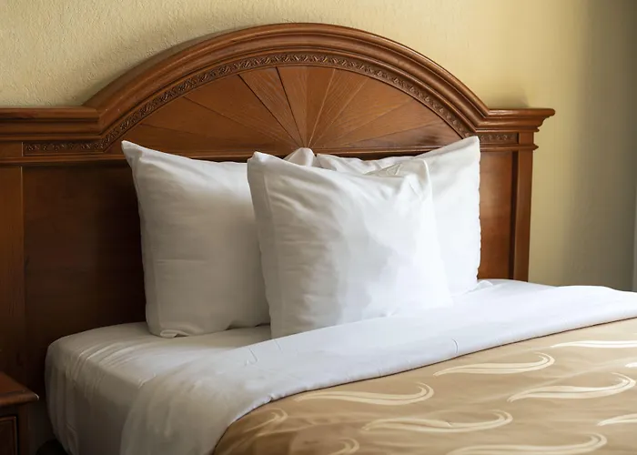 Quality Inn & Suites Biltmore East