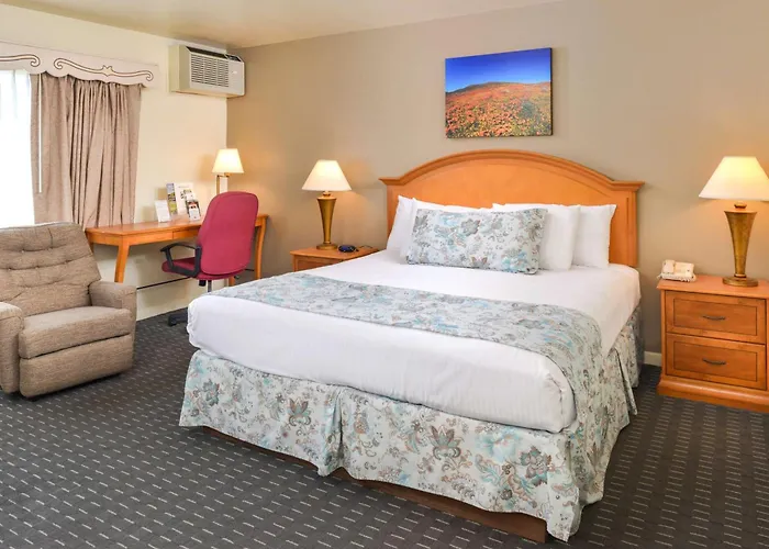 Svendsgaard'S Lodge- Americas Best Value Inn & Suites