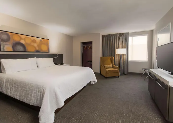 Hilton Garden Inn Las Colinas