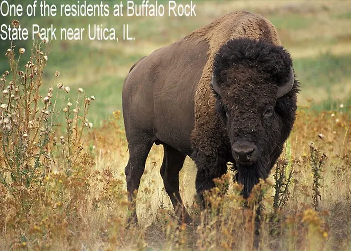 Super 8 By Wyndham Ottawa Starved Rock