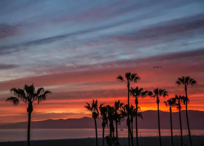 Stay Open Venice Beach