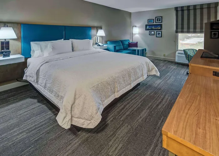 Hampton Inn Orlando-Maingate South
