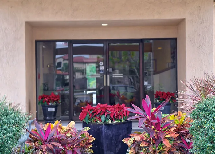 Destiny Palms Hotel Maingate West