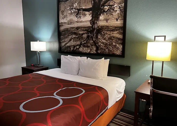 Super 8 By Wyndham Port Arthur/Nederland Area