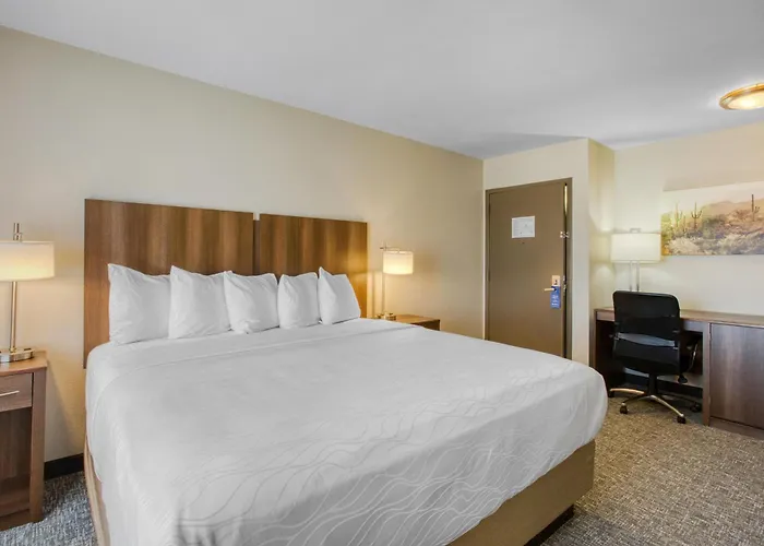 Best Western North Phoenix Hotel