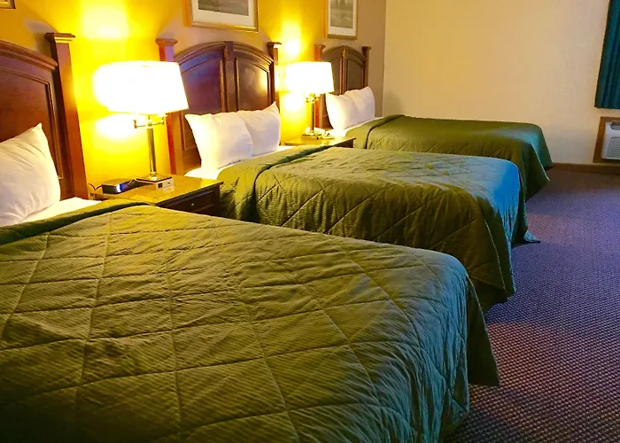 Executive Inn And Suites Waukegan