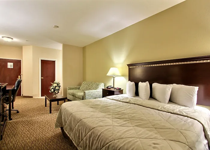 Magnolia Inn And Suites Pooler