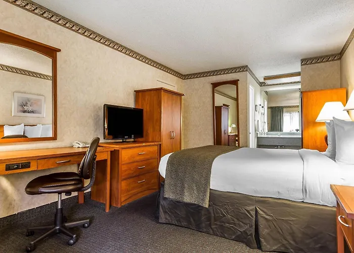Quality Inn & Suites Silicon Valley