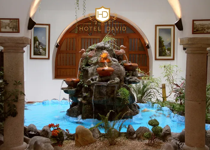 Hotel David