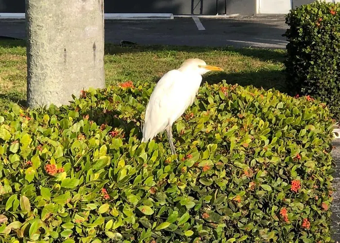 Bay Breeze Inn Bradenton Downtown
