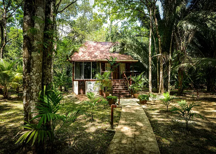 Kikiwitz Resort
