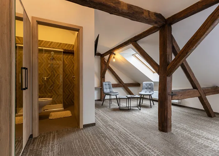 Apartsee Wellness Plzen