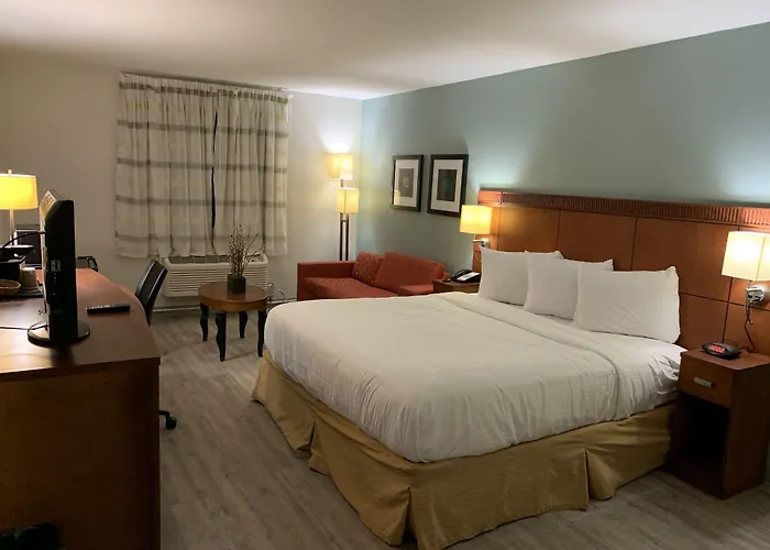 The Hotel Orange