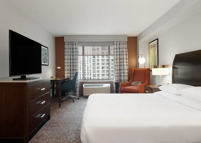 Hilton Garden Inn Chicago Downtown/Magnificent Mile