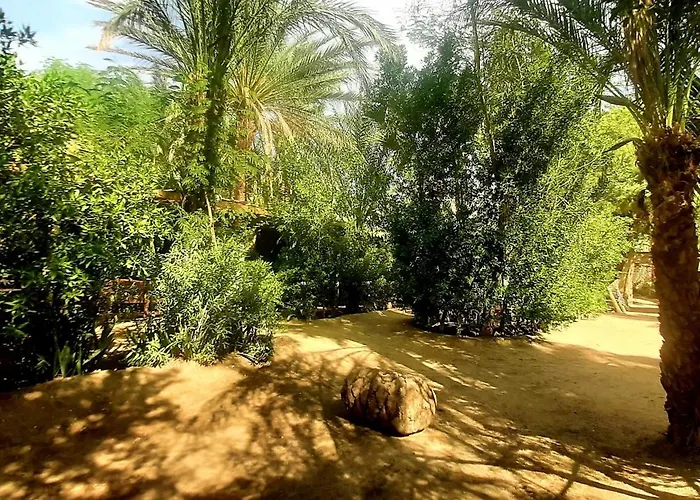 Nour El Gourna