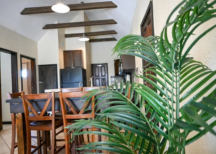 The Palapa House