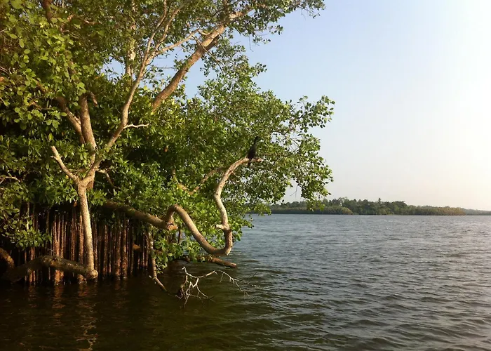 Heritage Green Ambalangoda