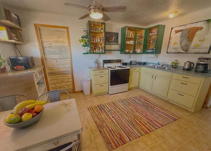 Birds - King Suite Pets Ok, Shared Kitchen #3