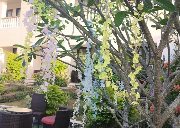 Nadi Fancy Hotel