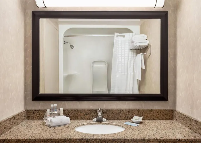 Royal Hotel West Edmonton, Trademark Collection By Wyndham