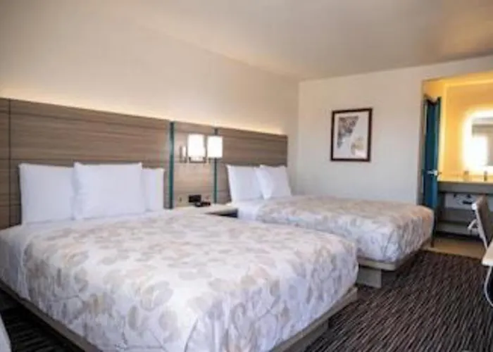 Lemon Heights Inn