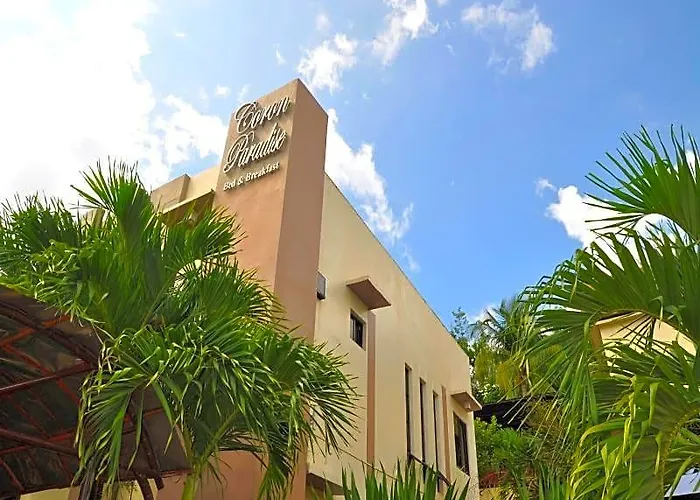 Coron Paradise Bed & Breakfast