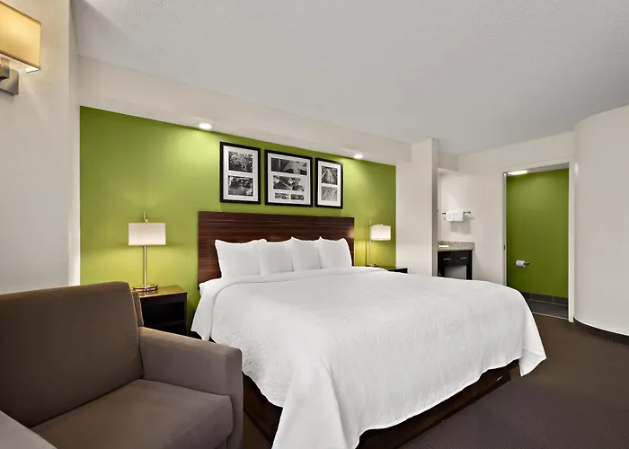 Spot X Hotel Wesley Chapel - Tampa Area